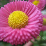 Platzhalterbild 1200x900